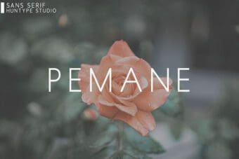 Pemane Sans Serif Font