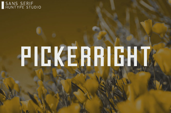 Pickerright Sans Serif Font