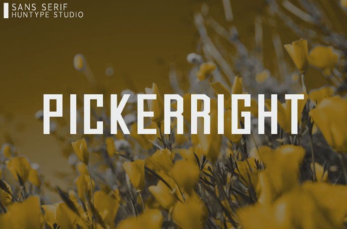 Pickerright Sans Serif Font