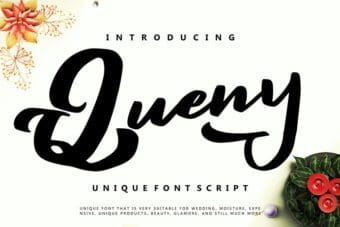 Queny Script Font