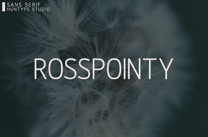 Rosspointy Sans Serif Font