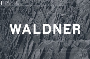 Waldner Sans Serif Font