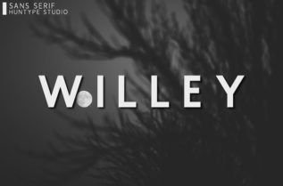 Willey Sans Serif Font