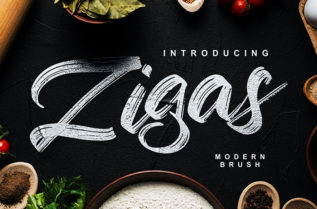 Zigas Modern Brush Font