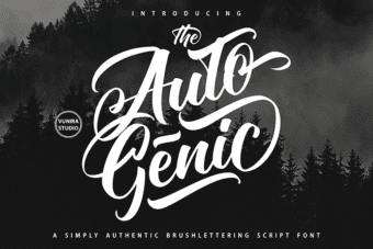 Autogenic Script Font