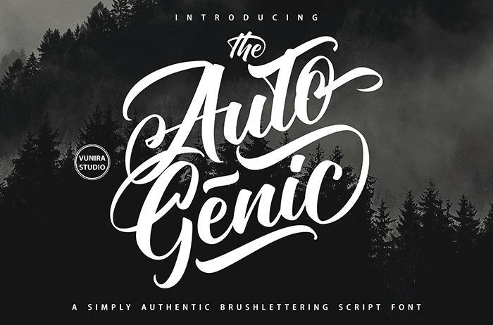 Autogenic Script Font