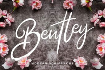 Bentley Script Font
