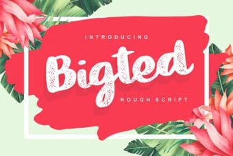 Bigted Script Font