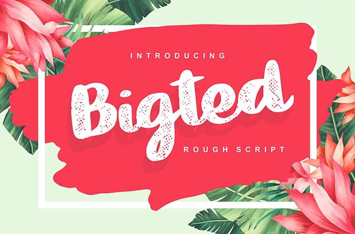 Bigted Script Font
