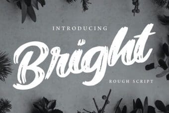 Bright Rough Script Font