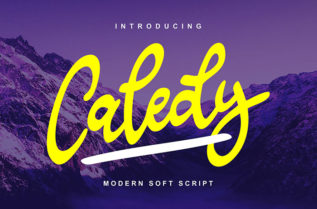 Caledy Script Font