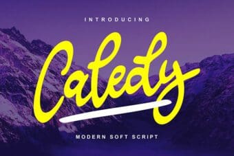 Caledy Script Font
