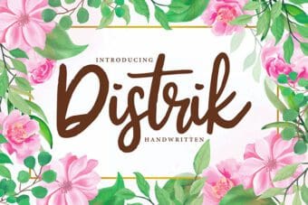 Distrik Handwritten Font