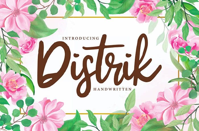 Distrik Handwritten Font