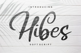 Hibes Soft Script Font