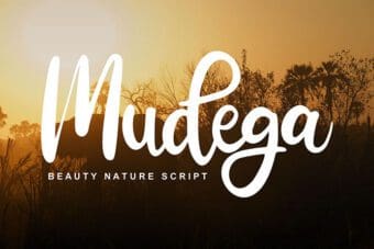 Mudega Script Font