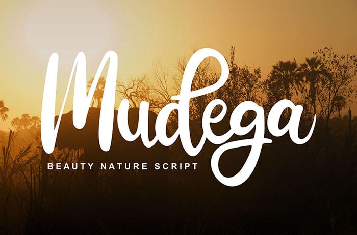 Mudega Script Font