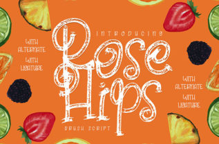 Rose Hips Decorative Font