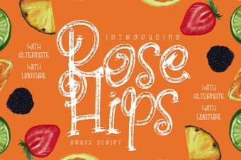 Rose Hips Decorative Font