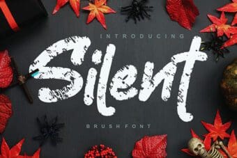Silent Brush Font