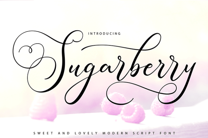Sugarberry Script Font