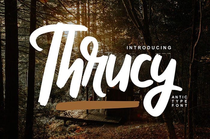 Thrucy Antictype Script Font
