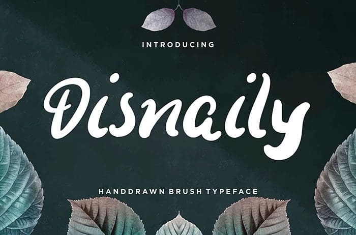 Disnaily Display Font