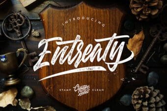 Entreaty Script Font