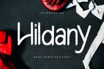 Hildany Sans Serif Font