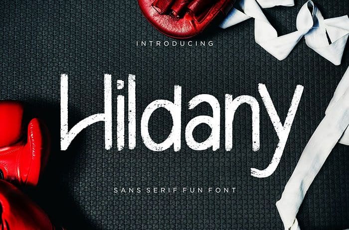 Hildany Sans Serif Font
