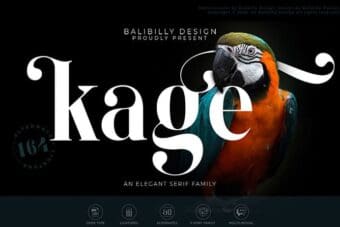 Kage Elegant Serif Font