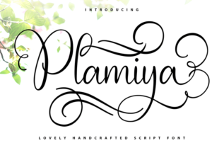 Plamiya Script Font