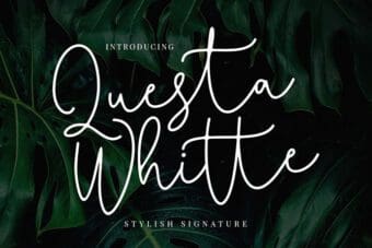 Questa Whitte Script Font