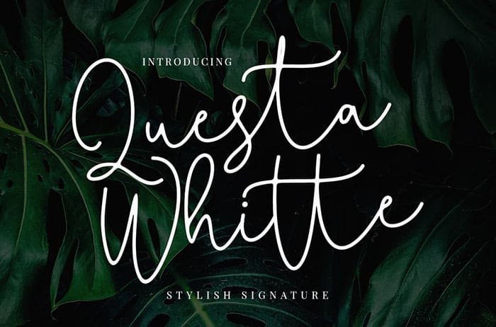 Questa Whitte Script Font