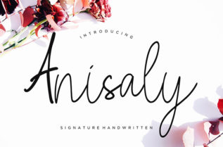 Anisaly Script Font
