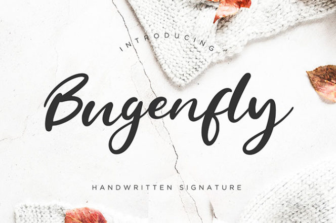 Bugenfly Script Font