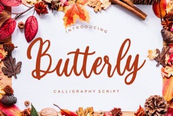 Butterly Script Font