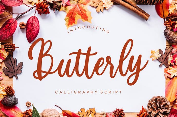 Butterly Script Font