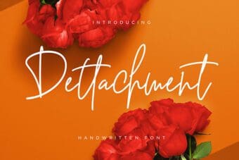 Dettachment Handwritten Font