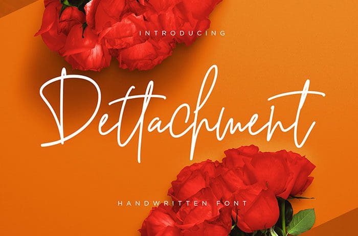 Dettachment Handwritten Font