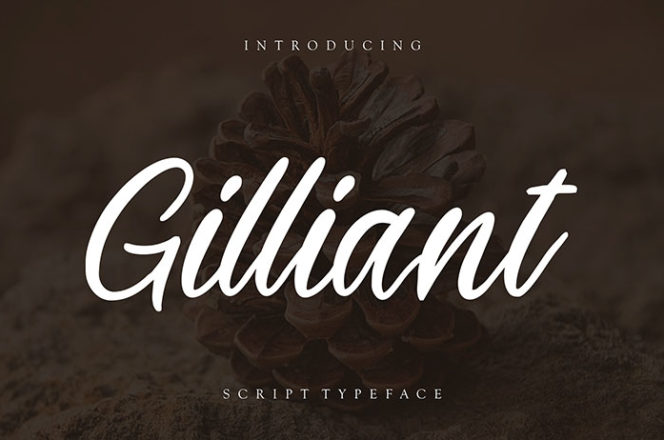 Gilliant Script Font