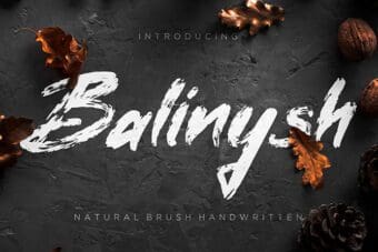 Balinysh Brush Font
