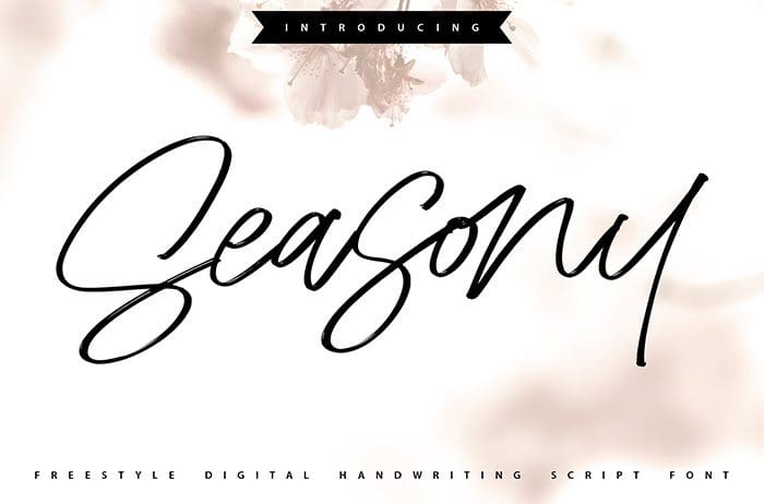 Seasony Free Script Font