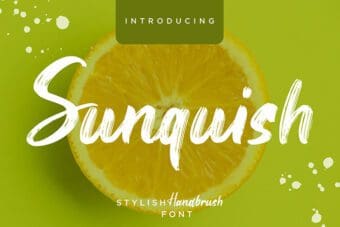 Sunquish Brush Font