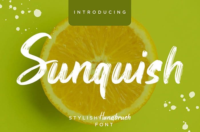 Sunquish Brush Font