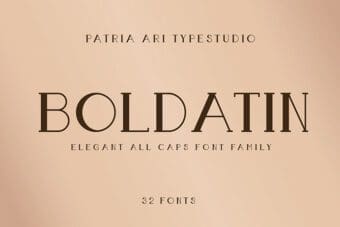Boldatin Display Font