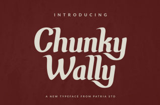 Chunky Wally Vintage Font
