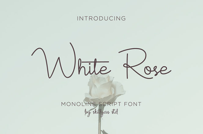 White Rose Handwritten Font