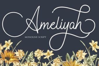 Ameliyah Monoline Script Font
