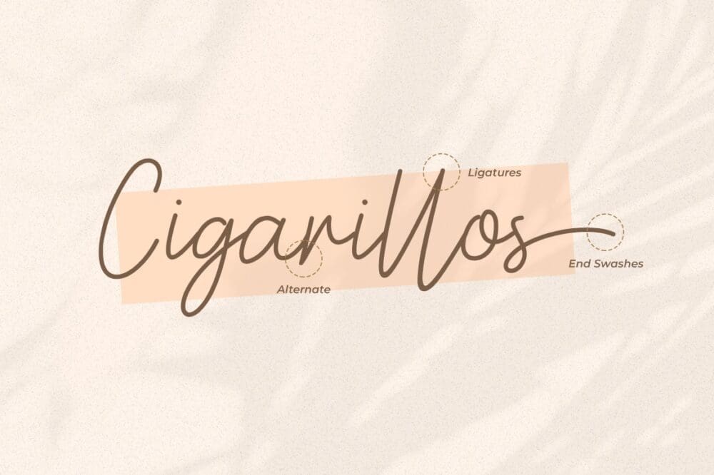 Astercla Script Font 4